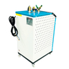 BOS3-3 chauffage électrique générateur de vapeur chaudière à vapeur manuel 3kw